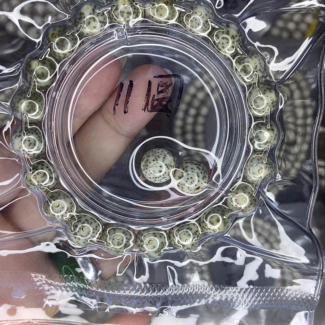 星月菩提手串星月