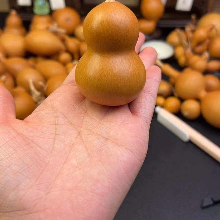 1****?葫芦葫芦葫芦葫芦葫芦