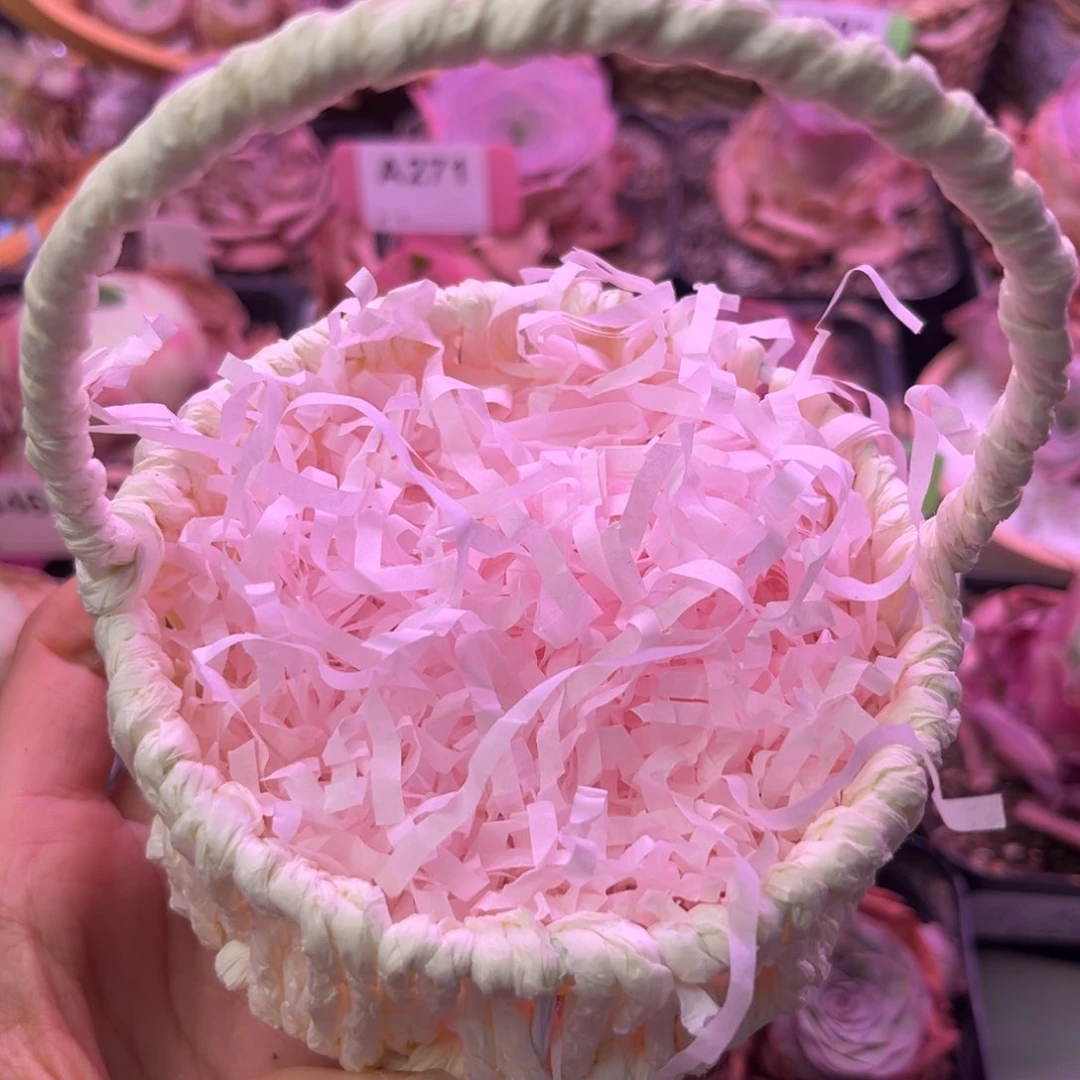 小白花篮10厘米f f