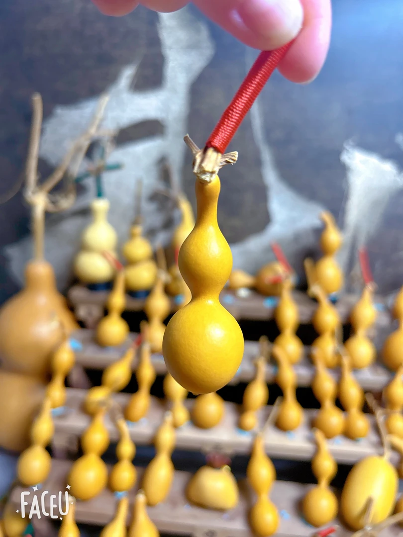 天然精品三七肚手捻葫芦厚皮响籽可盘玩可挂摆