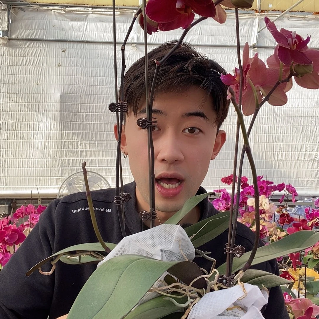 完全开放突尼斯带花剑