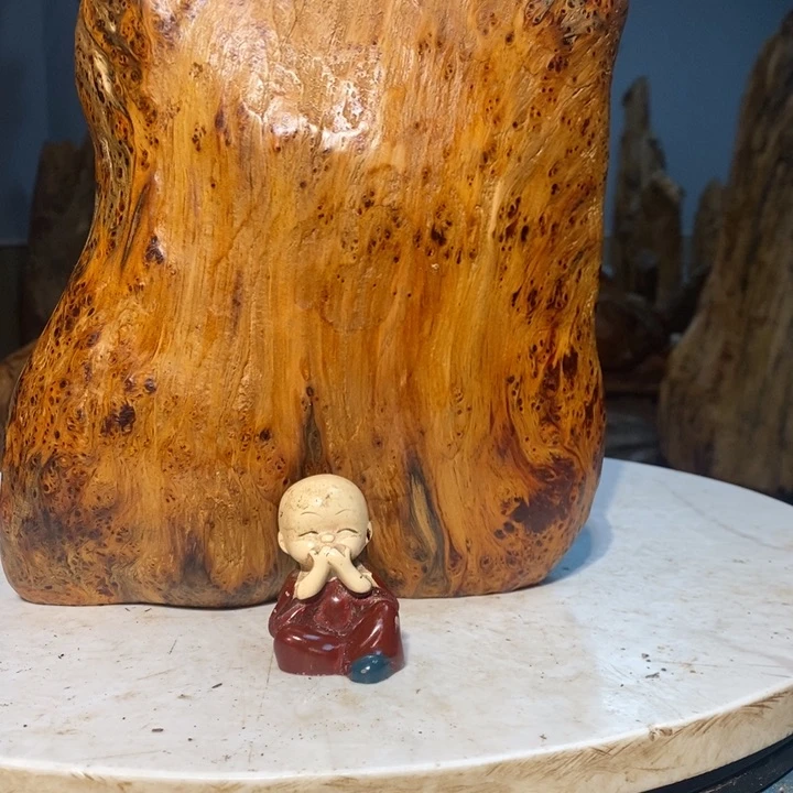 风***阁我们都是你的粉丝66