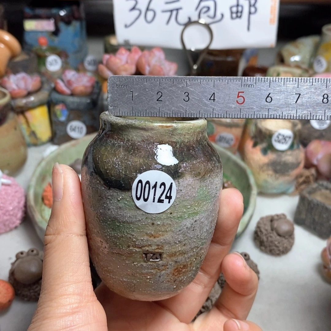 拍5送一个小礼物