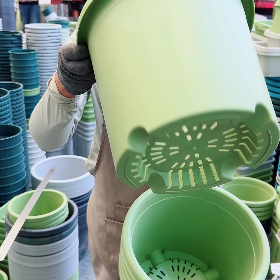 四季盆5#果绿色6个无托