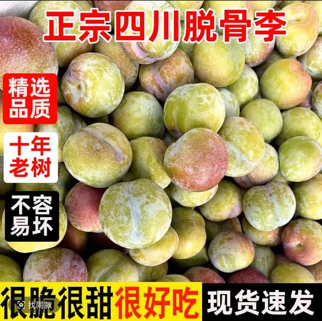 四川现摘正宗脱骨青脆李新鲜应季水果脆甜多汁