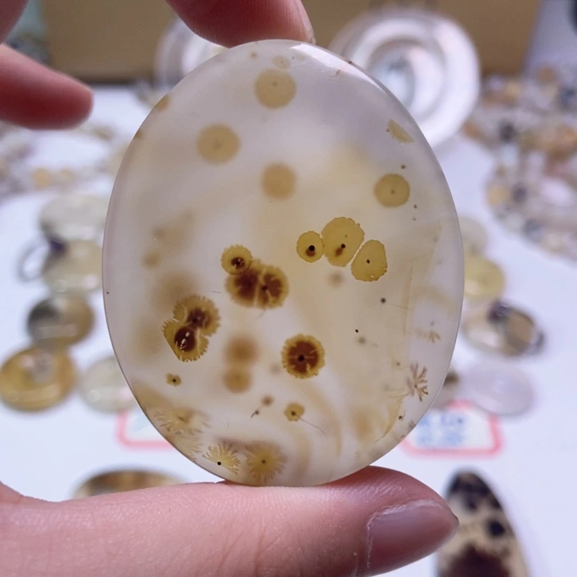 【闪购商品】玛瑙/玉髓颈饰未镶嵌