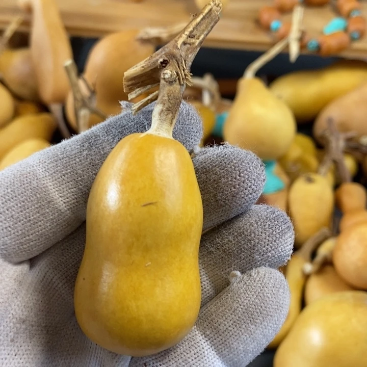 一****楼葫芦葫芦真的