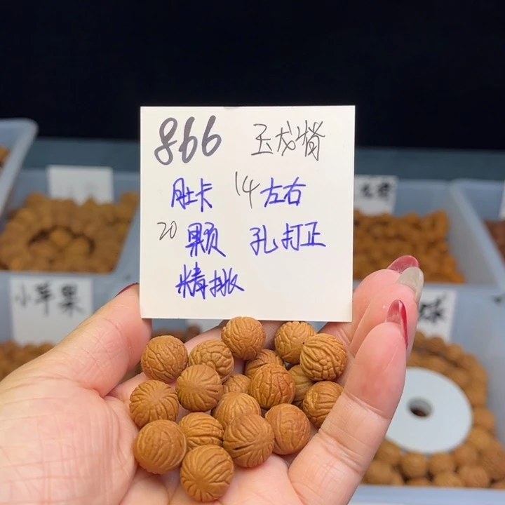 桃核手串玉龙脊14尺寸