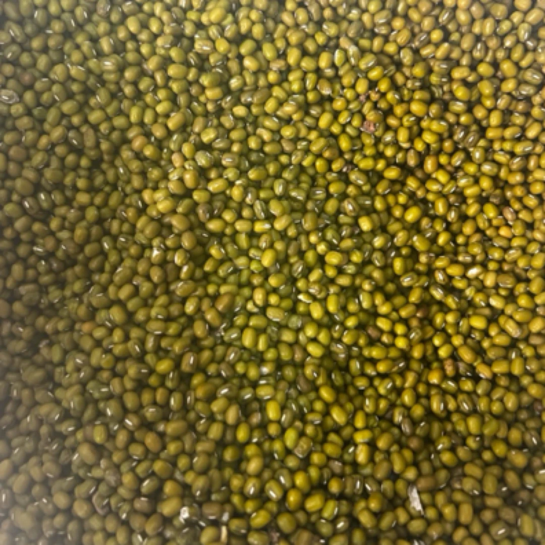 农家自种 绿豆老品种