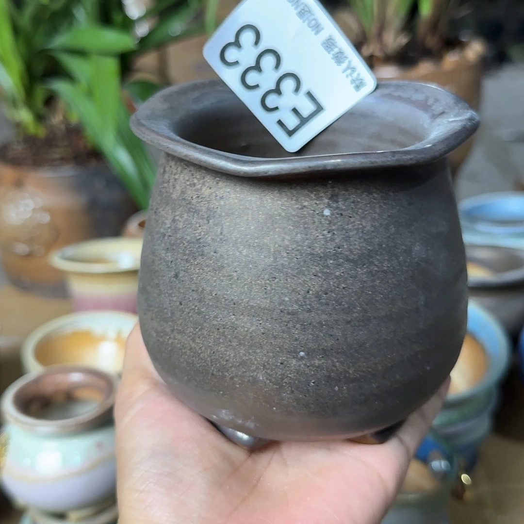 重庆小燕子欢迎大家333