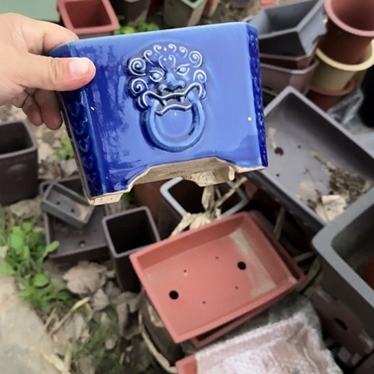 是一个集休闲农业的休闲胜地以及现代生活