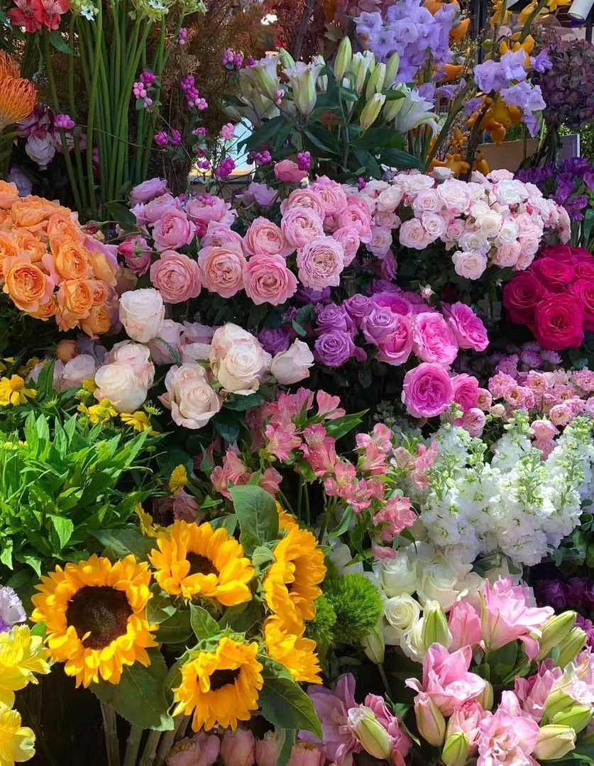 【任意鲜花】有鲜花围绕就是好 云南基地直发