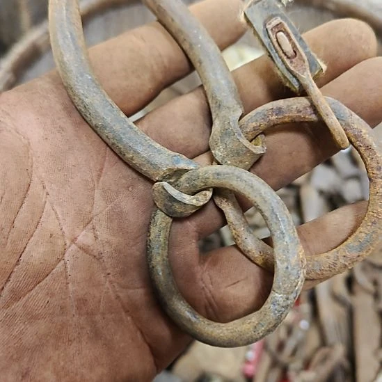 木11111111111111111