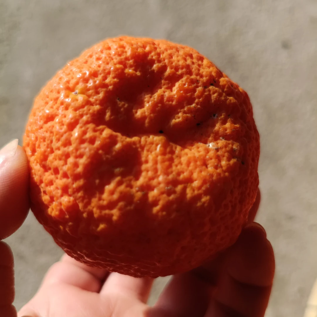 云南现收山货特产---红柠檬