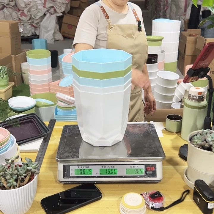 FZ170口17高19混色无托5只