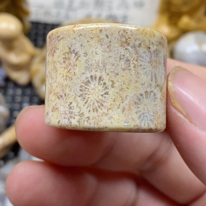 颈饰未镶嵌硅化珊瑚（珊瑚玉）