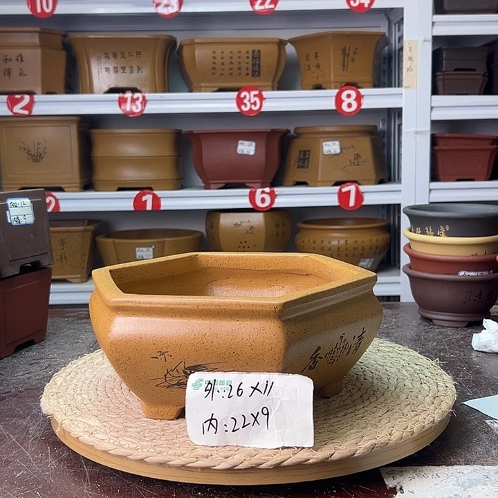 花盆紫砂蛇年大吉