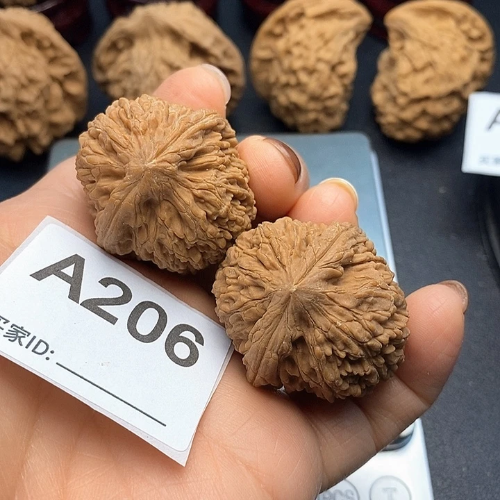 核桃蒜头3,5，克重41