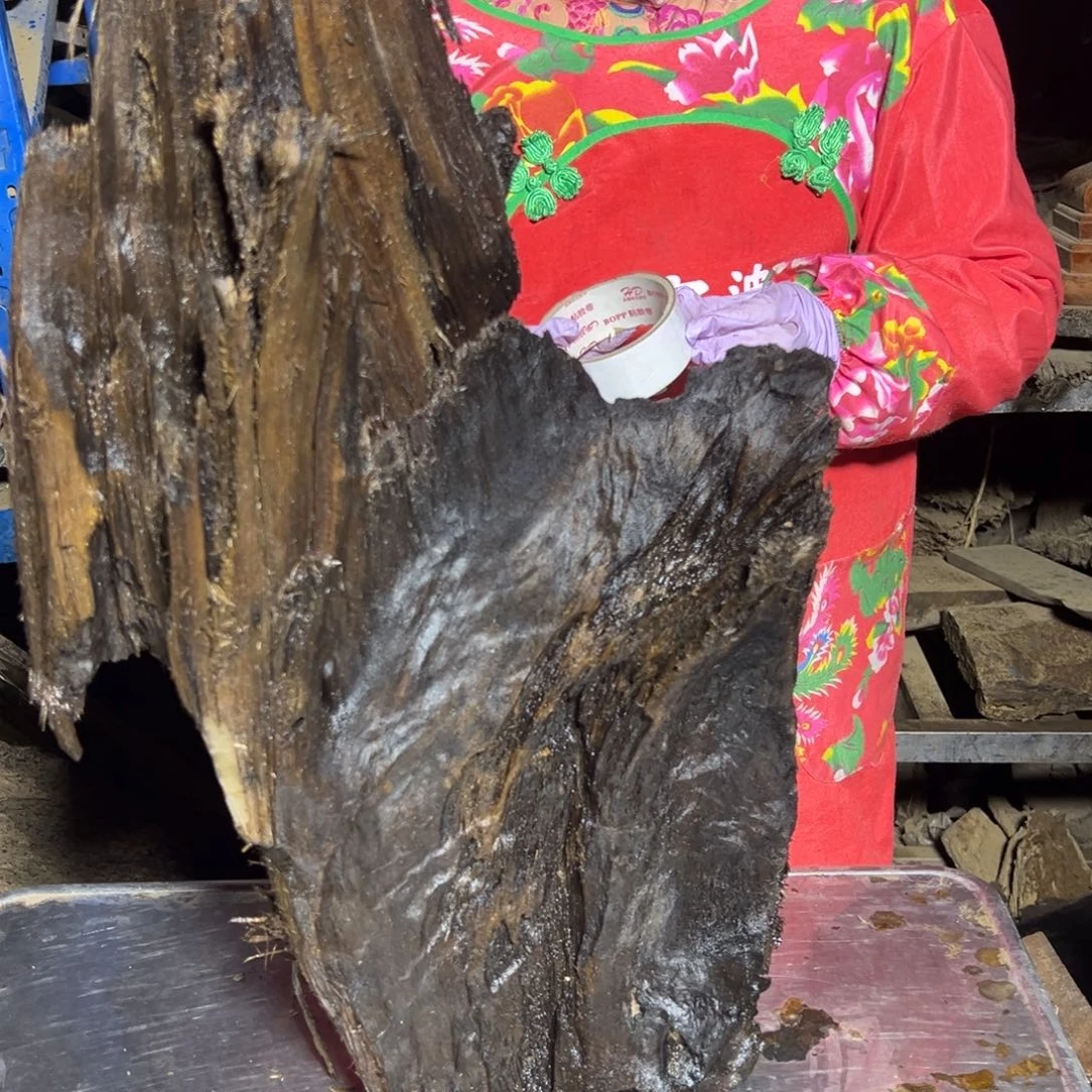 闲***舒金丝楠22222222222222222222