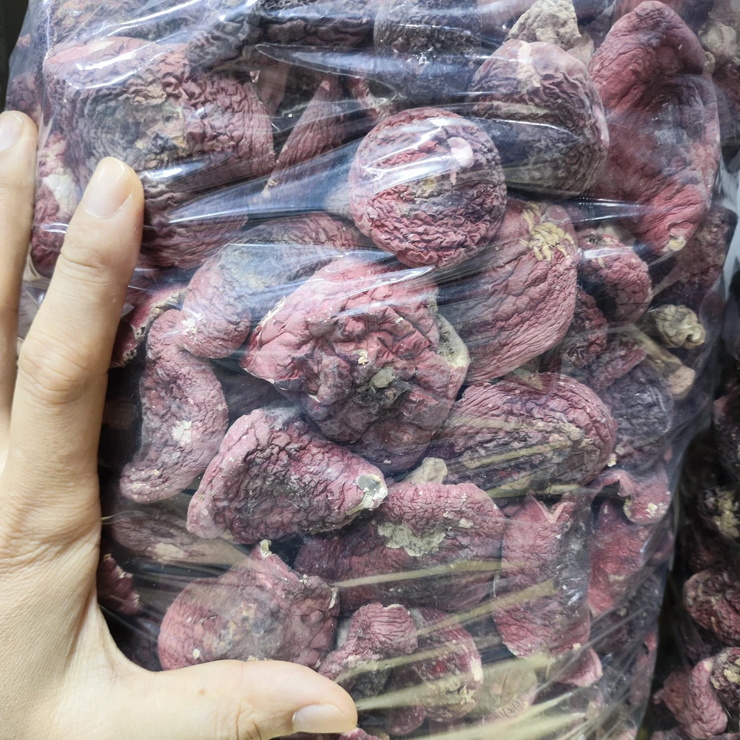 实拍正宗云南纯野生大标菇红菇天然干货煲汤食材月子滋补佳品送礼