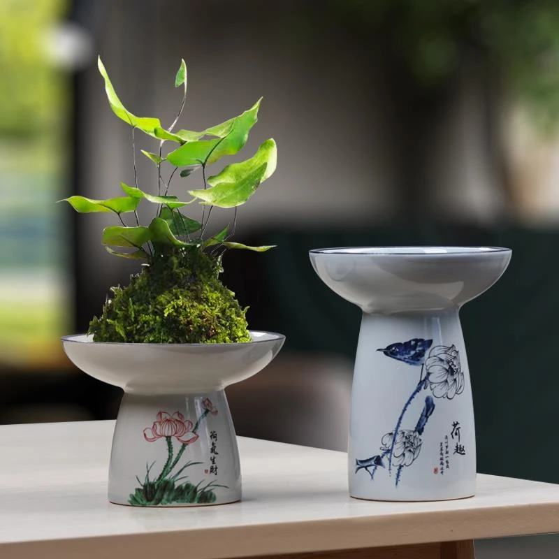 无印创意家用青花陶瓷花盆带托盘文竹发财树蝴蝶兰小赤叶楠盆栽盆