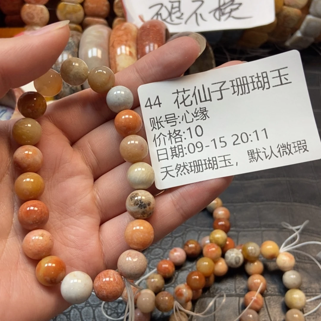 心***缘未镶嵌硅化珊瑚（珊瑚玉）珠宝半成品44