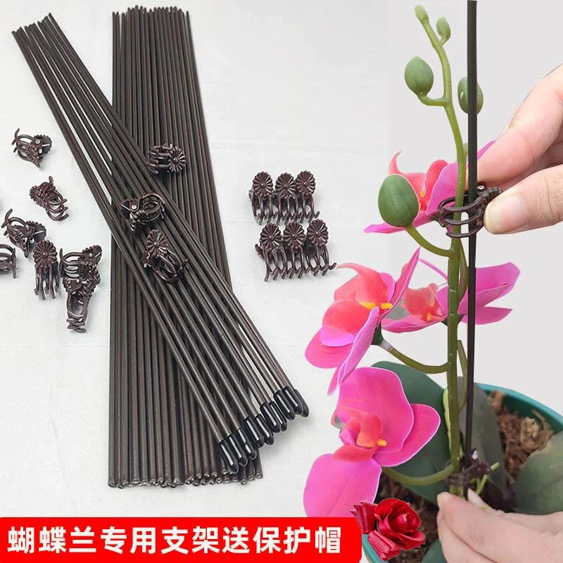蝴蝶兰专用花卉盆栽固定支撑杆造型铁丝支柱花夹子