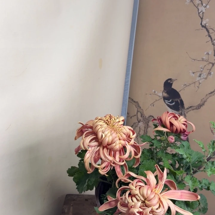 完全开放O8888888888