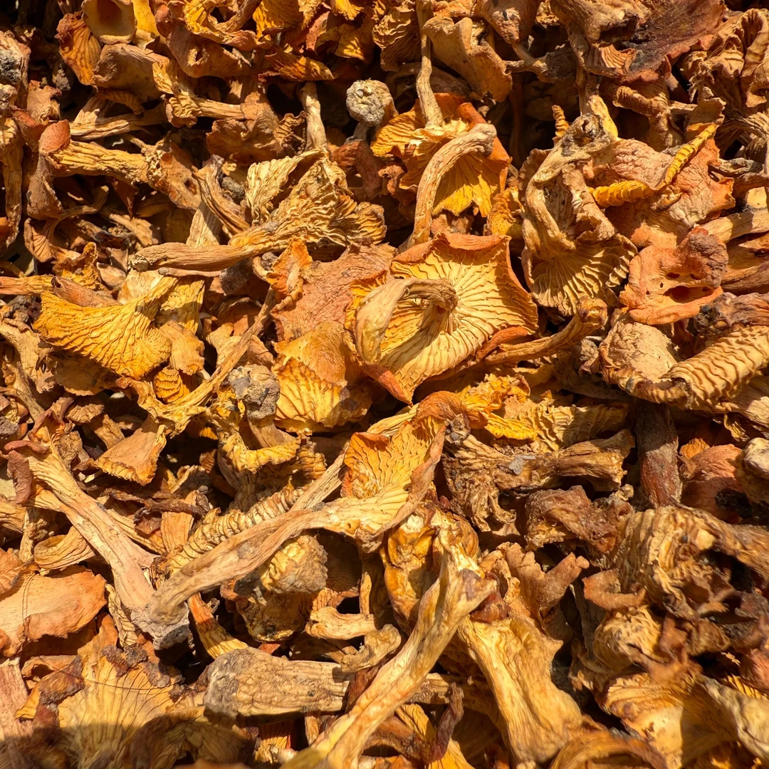 【杏黄鸡油菌】云南高原鸡油菌精选杏香浓郁肉头厚实杏黄菌