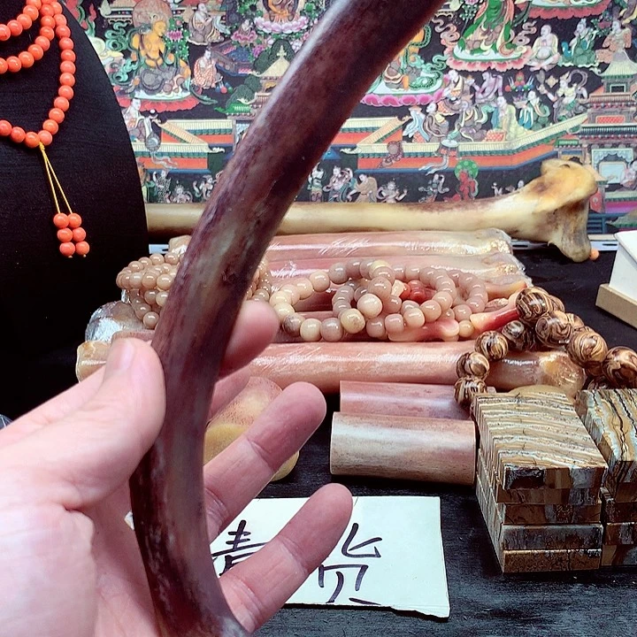 把件驼骨5哥泡酒