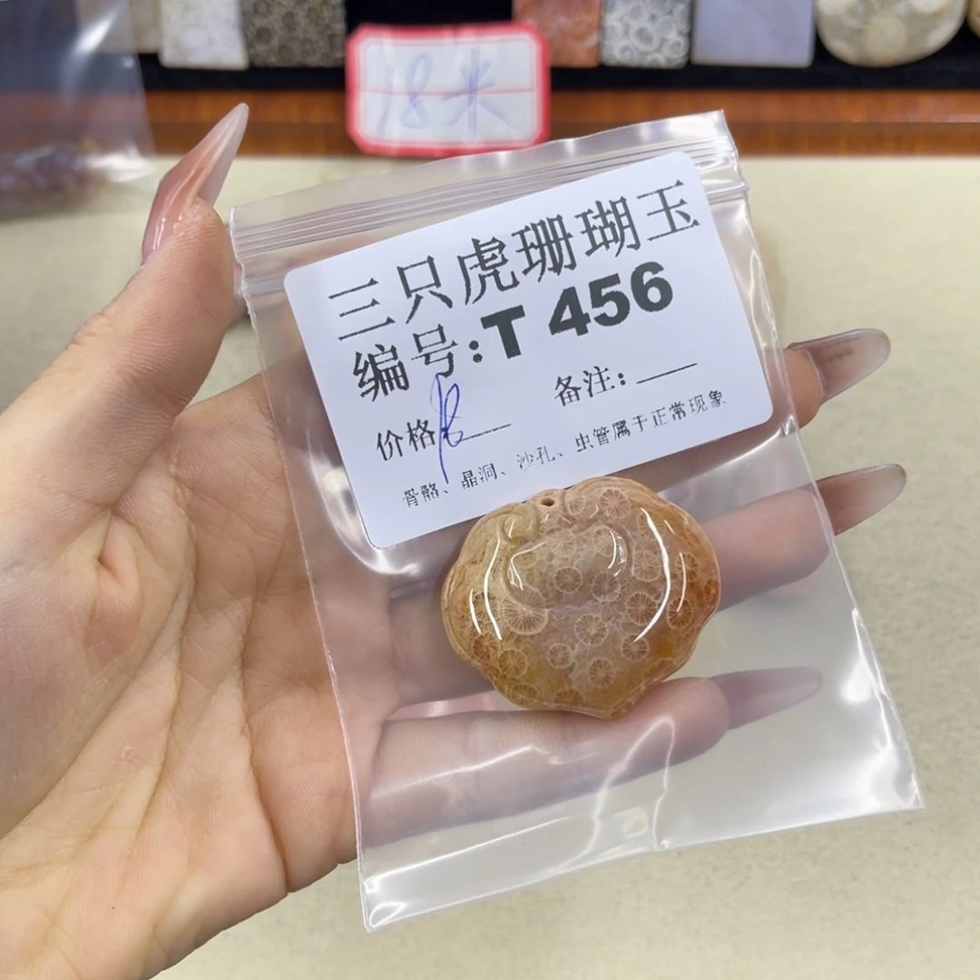 硅化珊瑚（珊瑚玉）t足银镀金镶嵌@**姥
