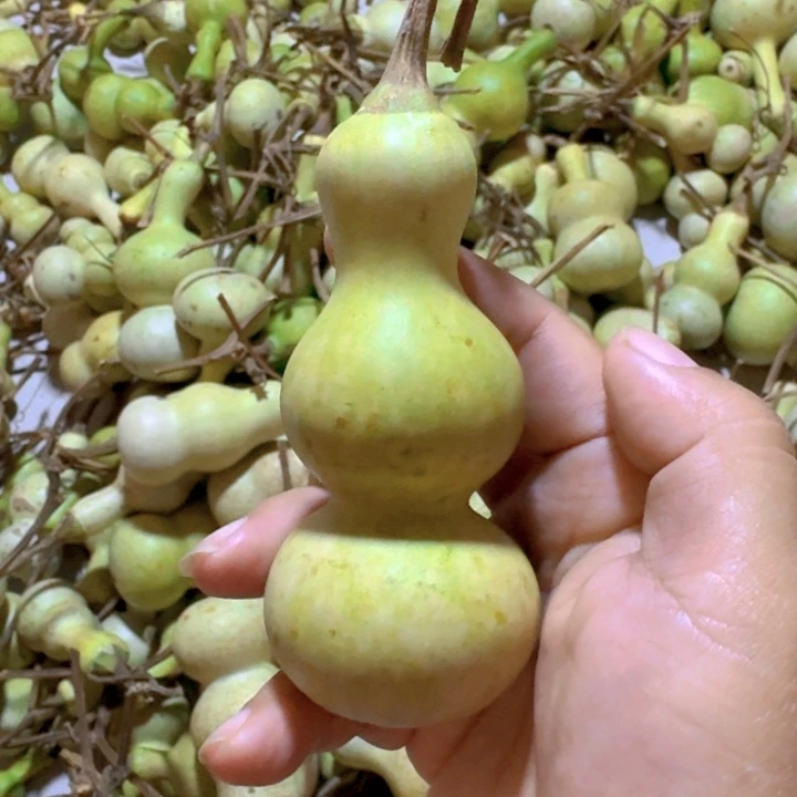 J***e手把件葫芦摆件葫芦