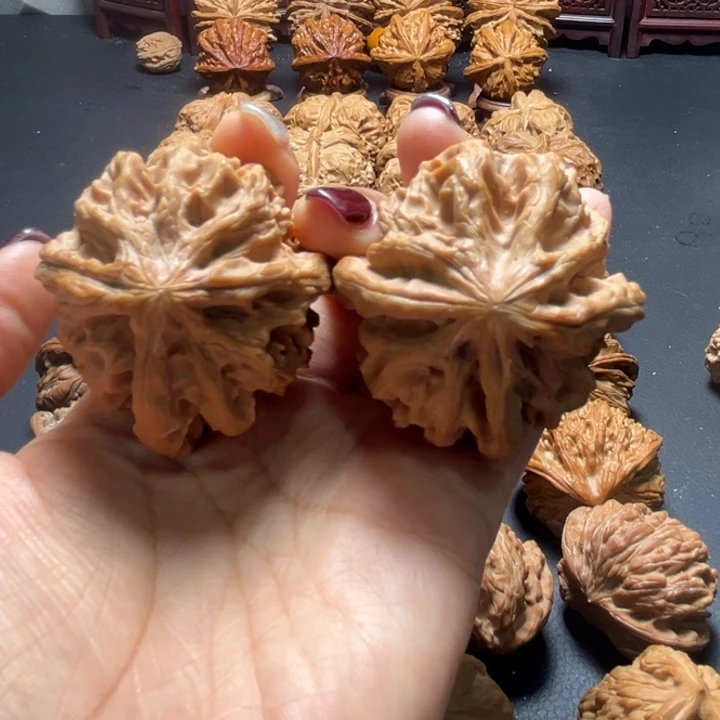 苹果园丁字奔核桃哈哈哈哈哈哈