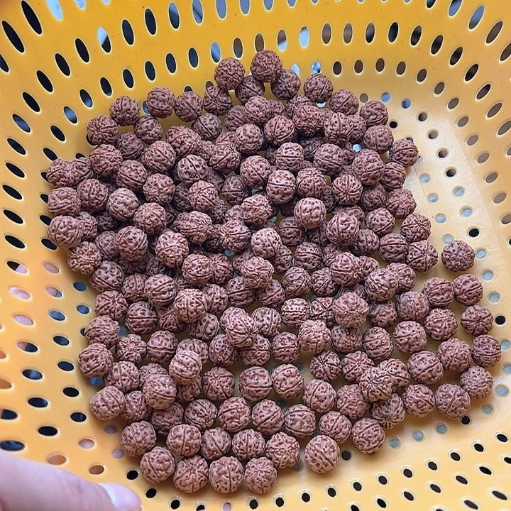 金刚菩提手串宋*锋好评