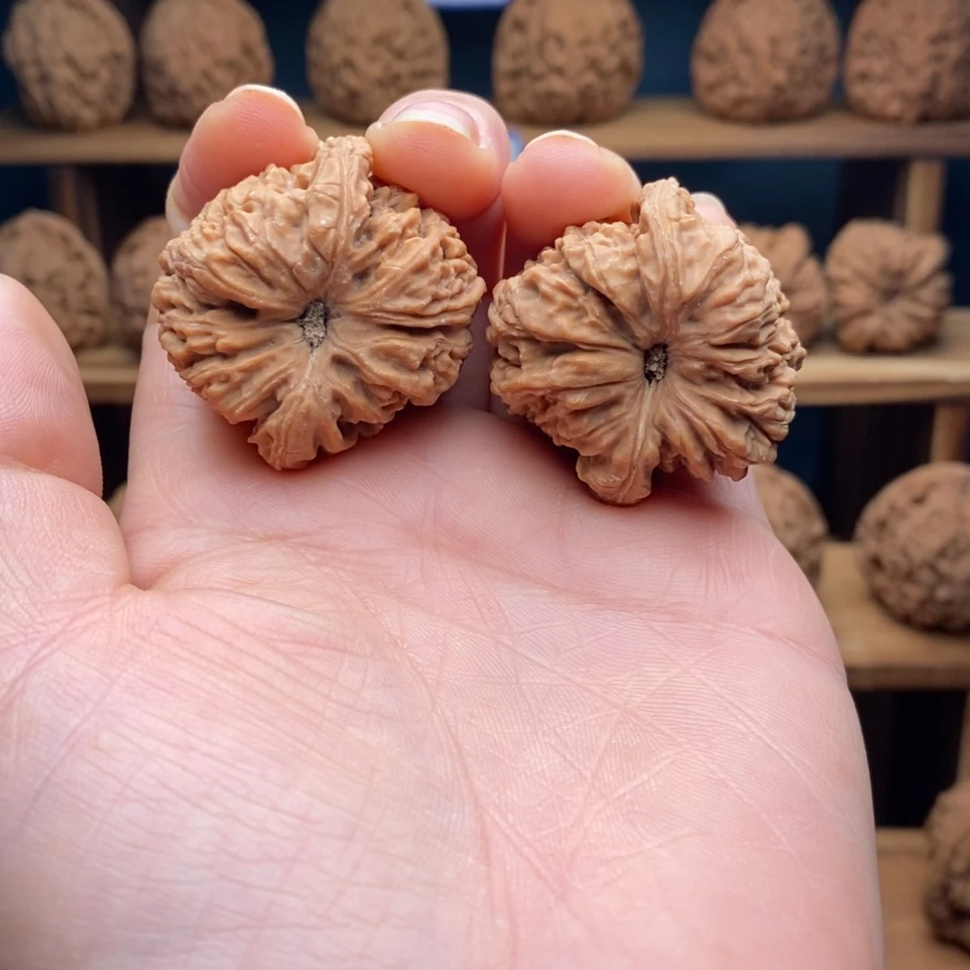 伟***弟南将石文玩核桃凹底福利