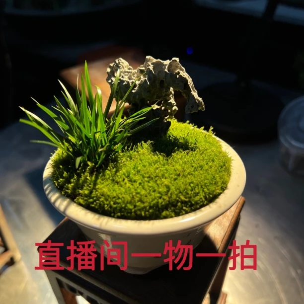 英石盆景二号链接~~~高价格拍此链接！！！