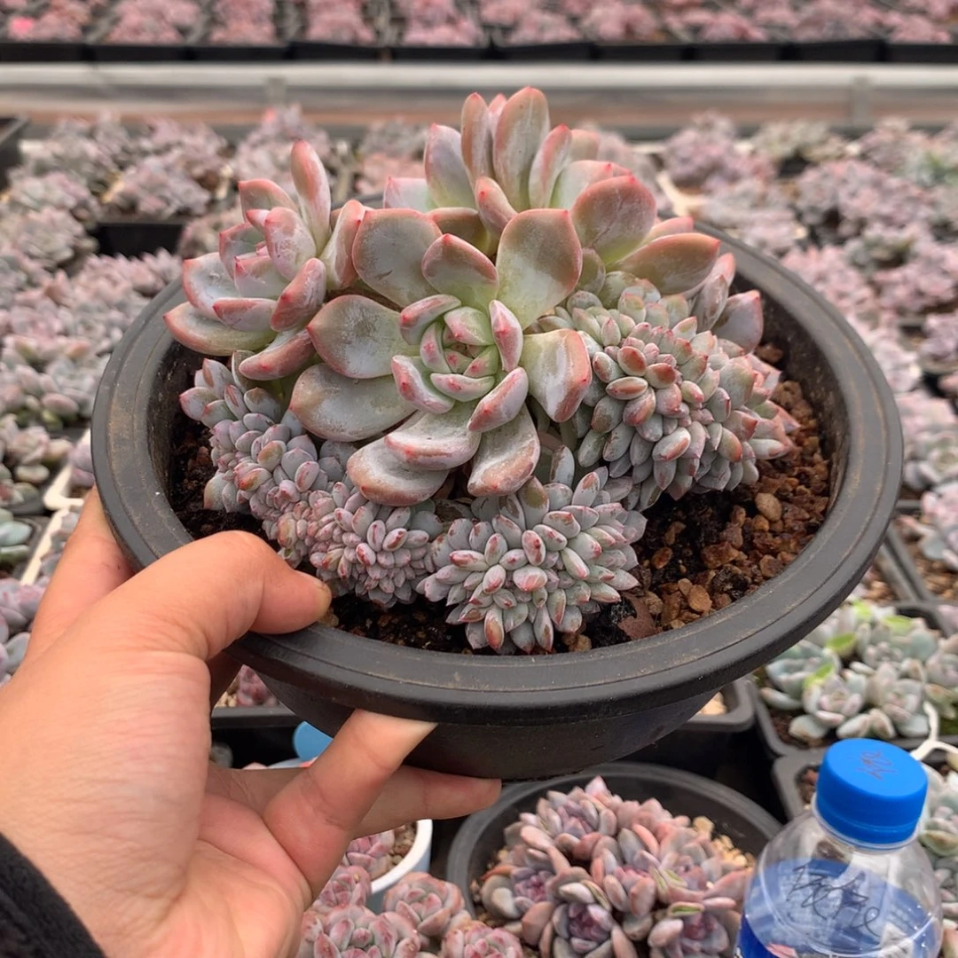 哈哈哈哈哈哈哈哈哈哈哈