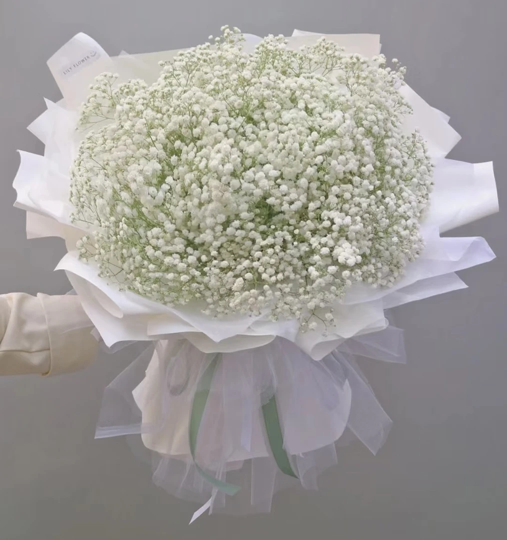 云南鲜花直发【满天星鲜花】白色一把500克 可做干花配花 心意满满