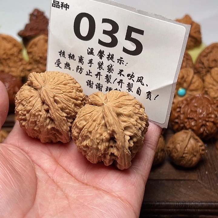 把件桃核白狮子。边40。 035