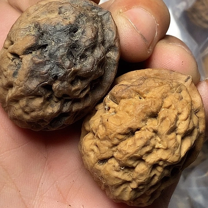 文玩核桃把件云南铁核桃119