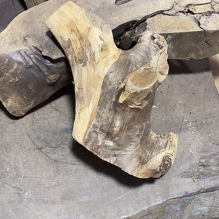 乌木类金丝楠木小叶