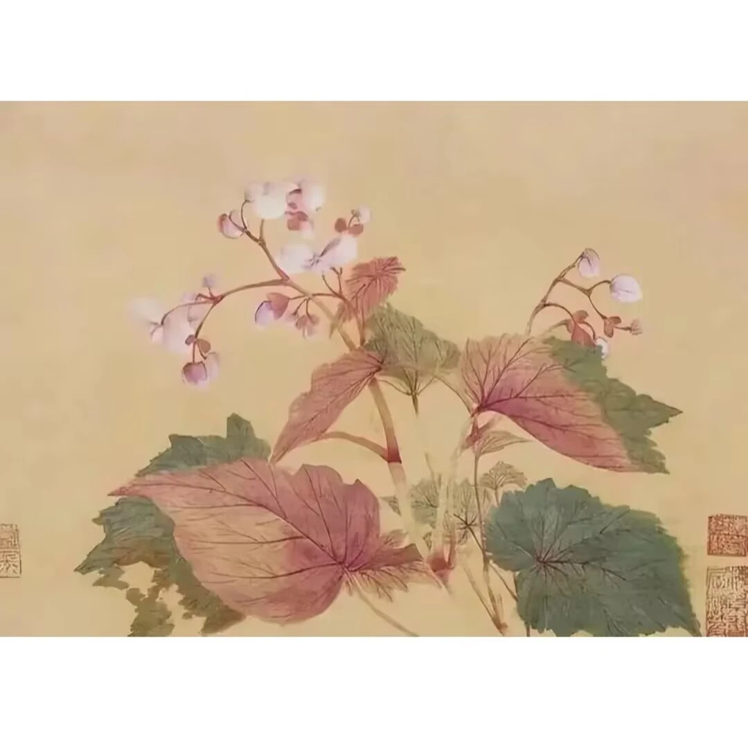 169.安徽泾县宣纸定向链接