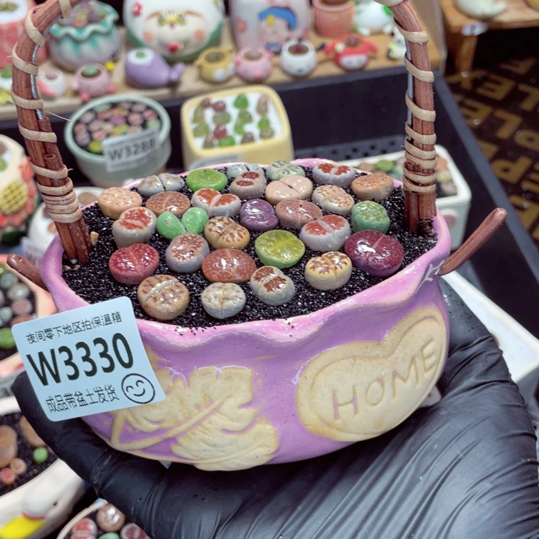 夜间零下地区拍保温箱w3330