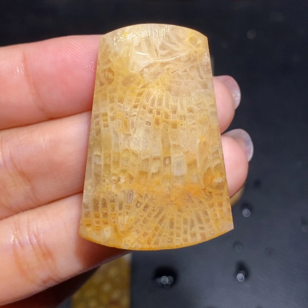 【闪购商品】硅化玉珊瑚玉未镶嵌