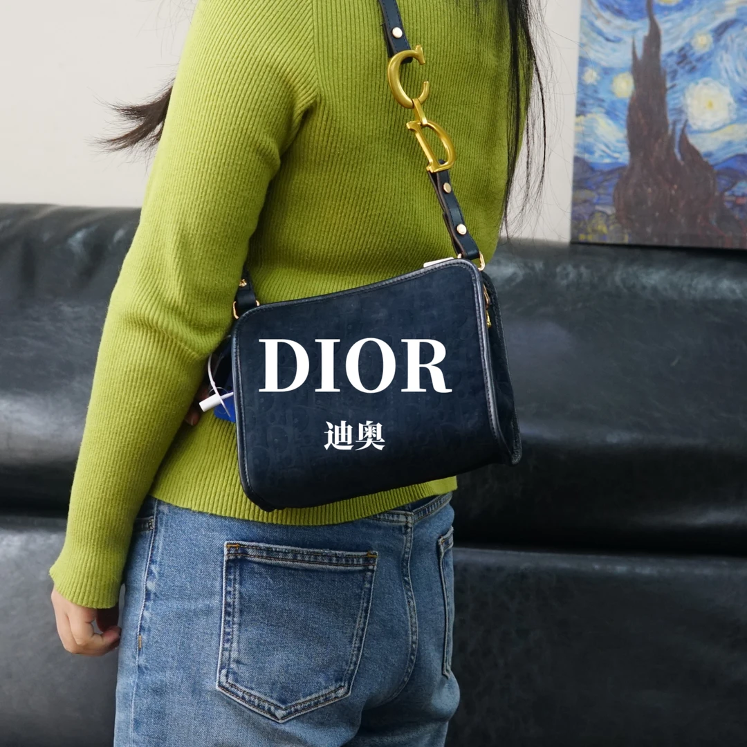 95新 DIOR/迪奥  蓝色单肩包/F3FY02611508/1508