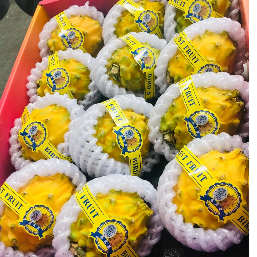 海南新鲜果燕窝果香甜多汁热带当季孕妇火龙果黄色水果