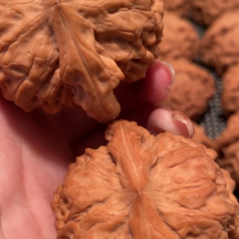 【闪购商品】吊坠文玩核桃李*头龙