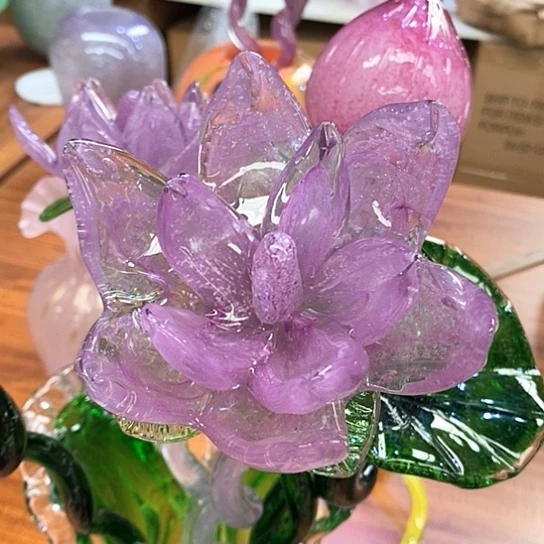 紫***果夜光花高45厘米宽12厘米