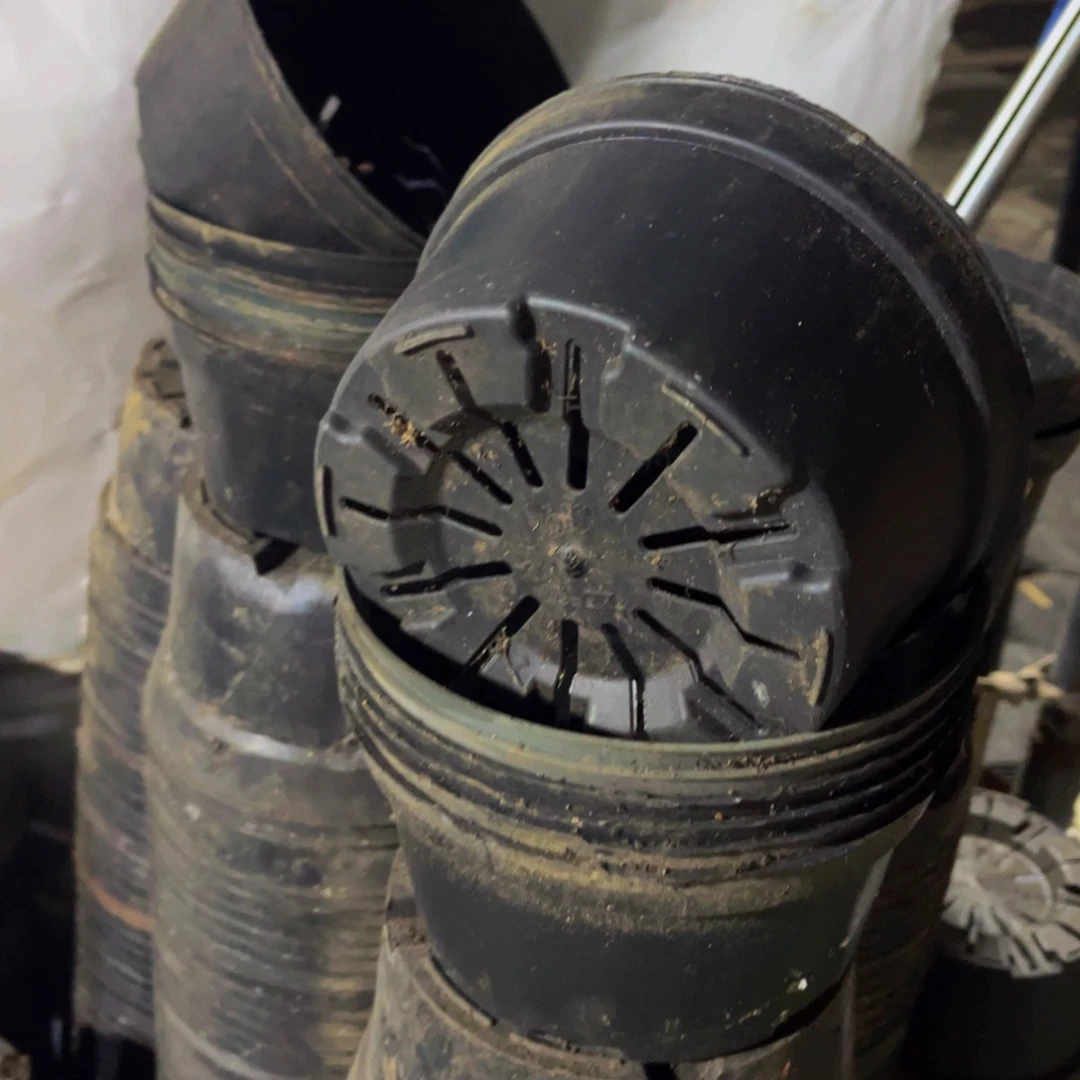 旧口径17黑圆盆20个