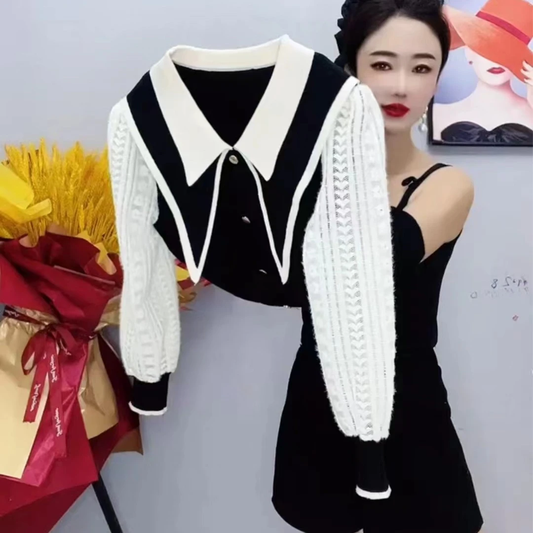 秋季女新款显瘦娃娃领长袖针织打底衫长袖宽松时尚气质蕾丝